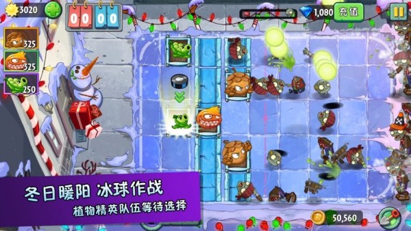 植物大战僵尸2决战