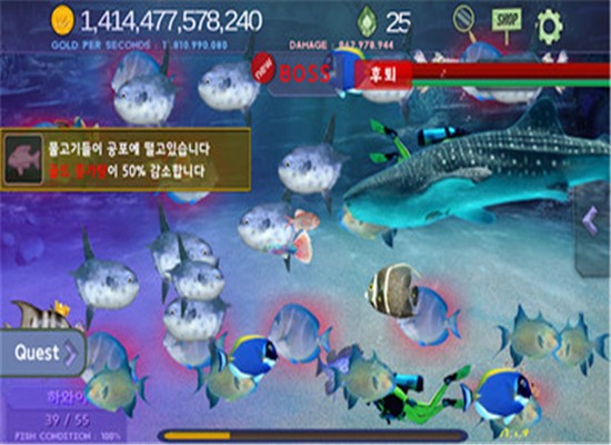 驯服海鱼