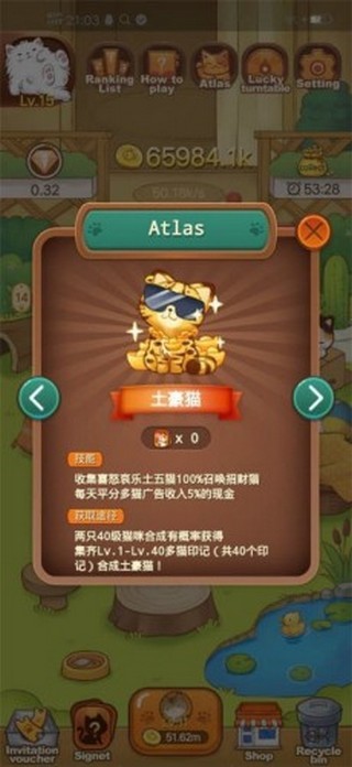 小猫别浪
