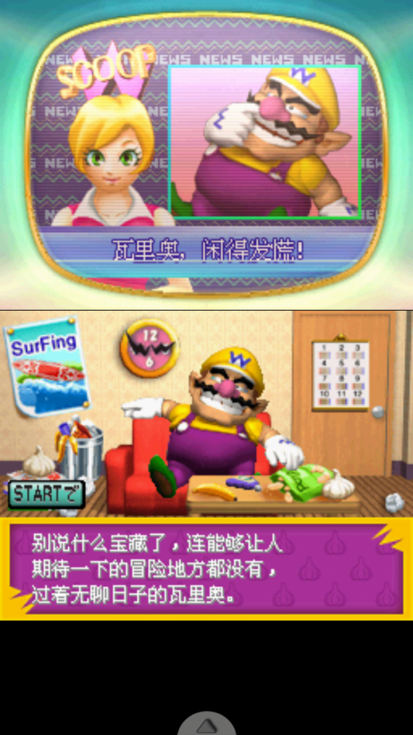 怪盗瓦里奥