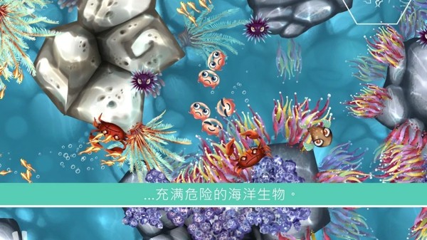 水母暗礁
