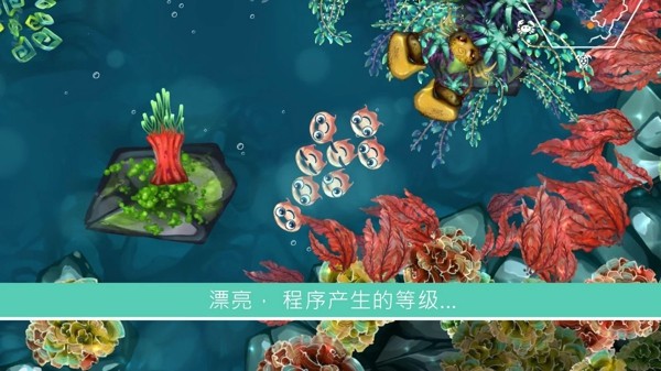 水母暗礁