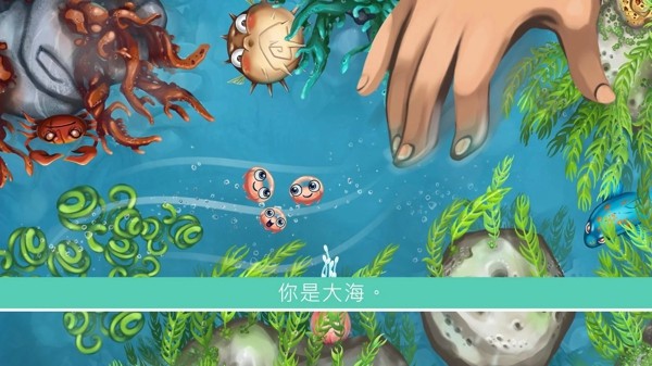 水母暗礁