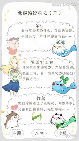 锦鲤天选之子
