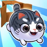 猫小盒