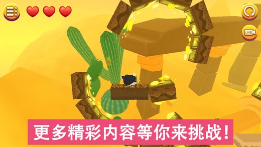 猫小盒