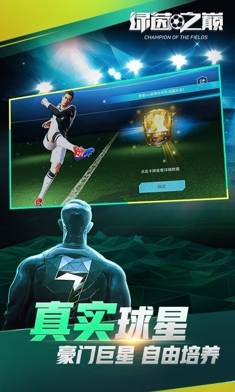 绿茵之巅九游版