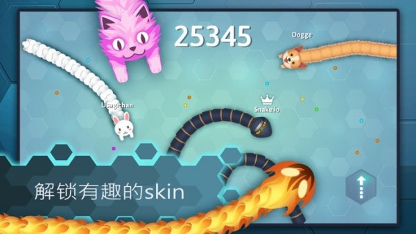 贪吃蛇王