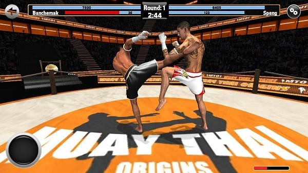 泰拳