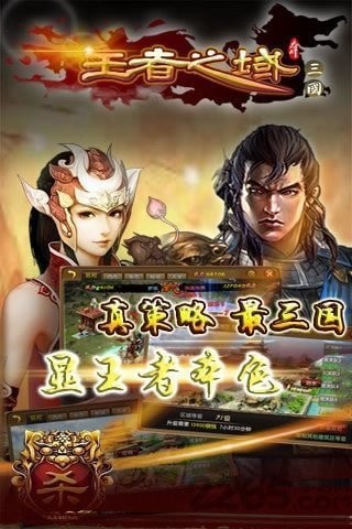 三国王者