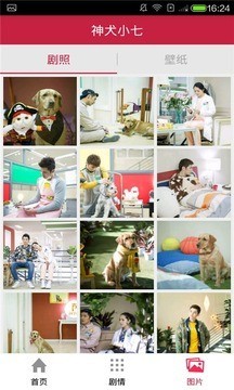 神犬小七官方版