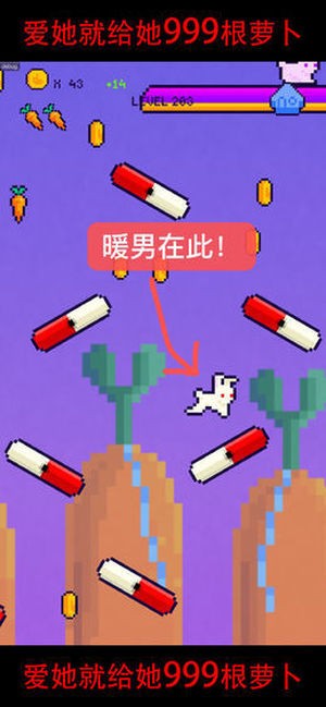 恩爱兔