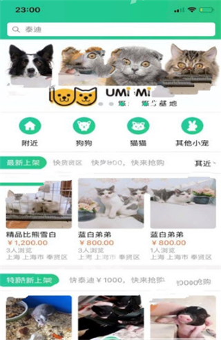 寻爱