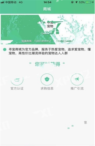 寻爱