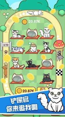 云养猫