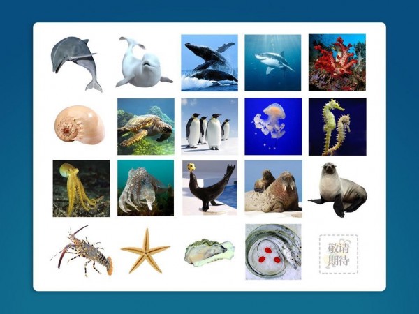 宝宝识海洋生物