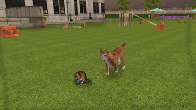 疯狂的猫与老鼠