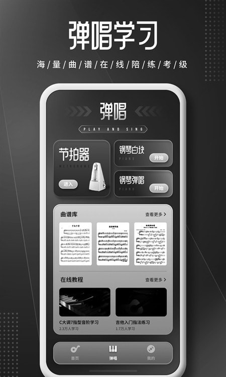 琴师