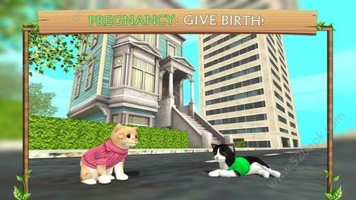 猫咪生存模拟