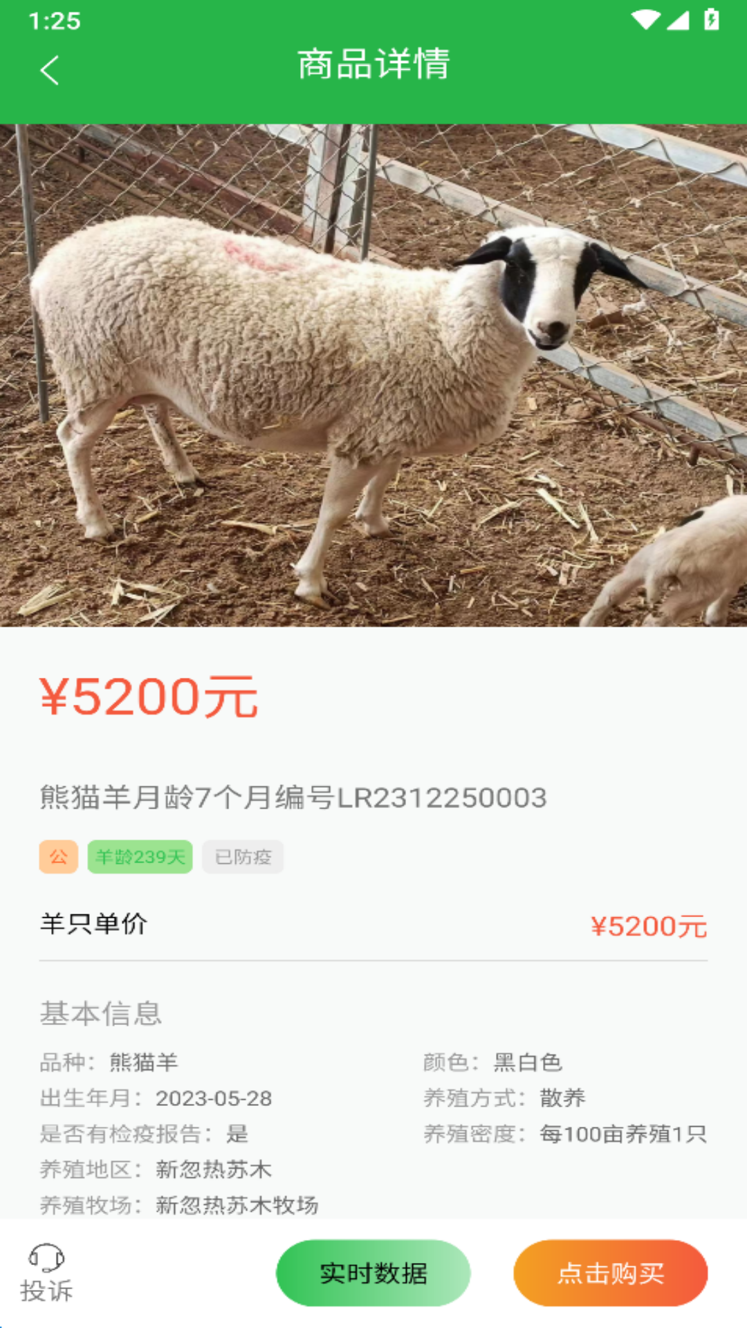 我在草原有只羊