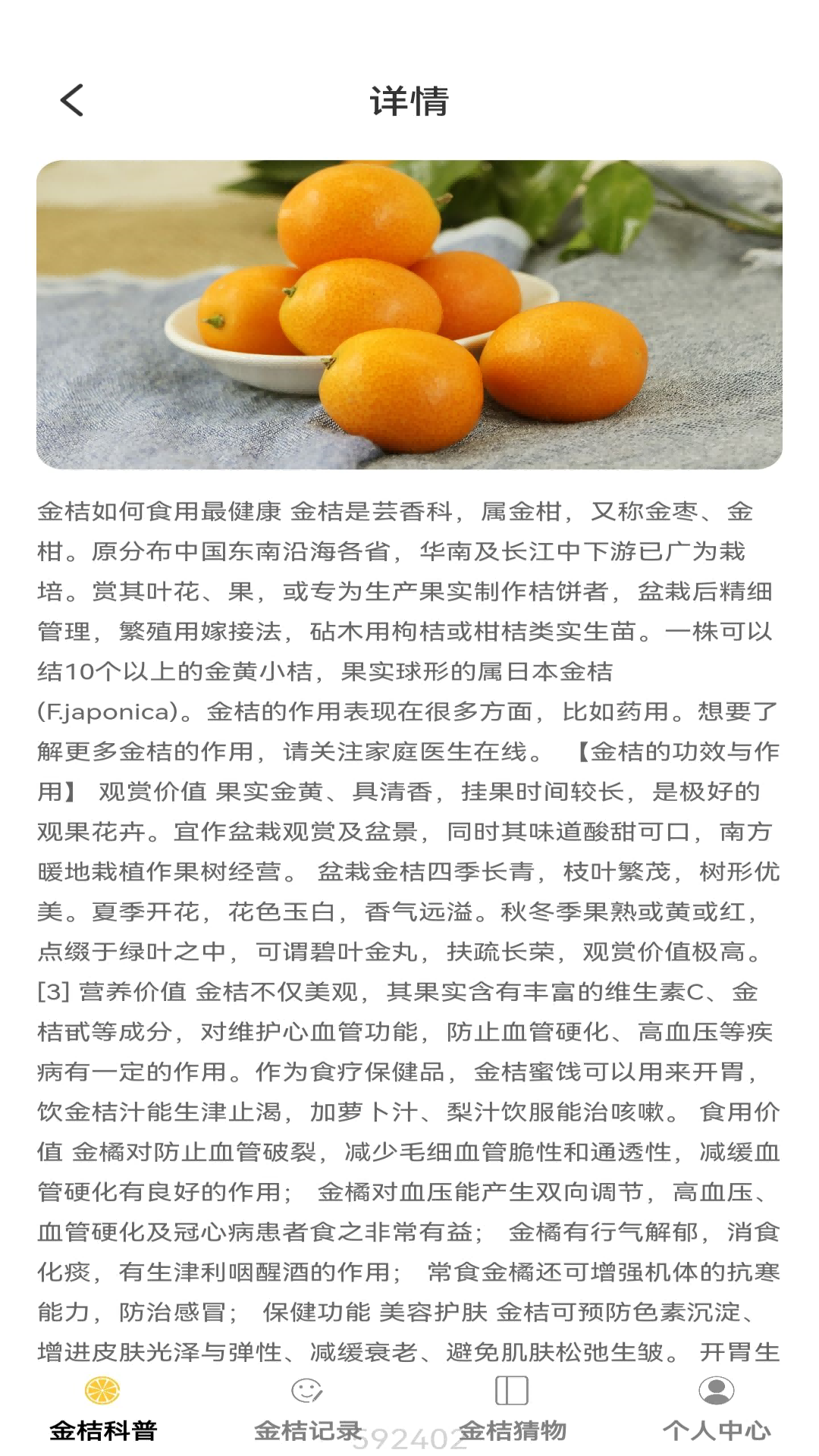 金桔点点