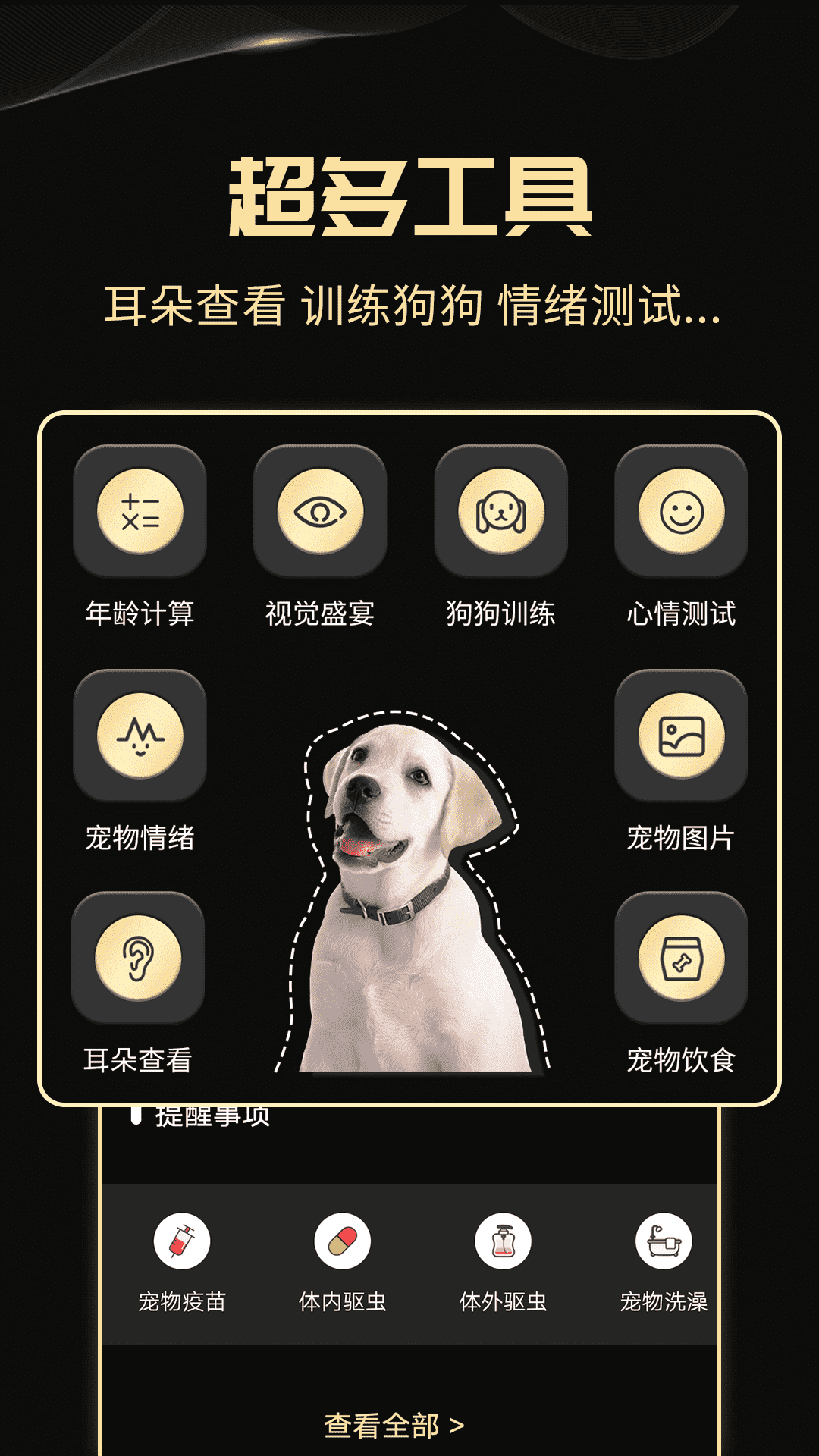 人狗交流神器