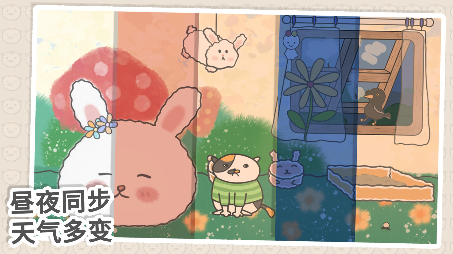 主播和猫的故事