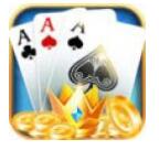 口袋跑得快安装