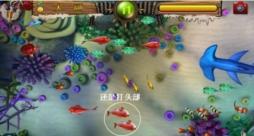 mg老虎机官网版