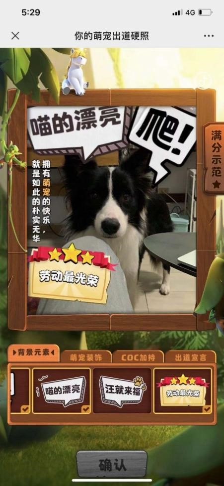 部落冲突什么流派最好