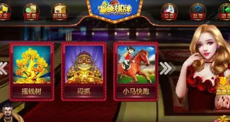 搓牌高手2麻将手机版