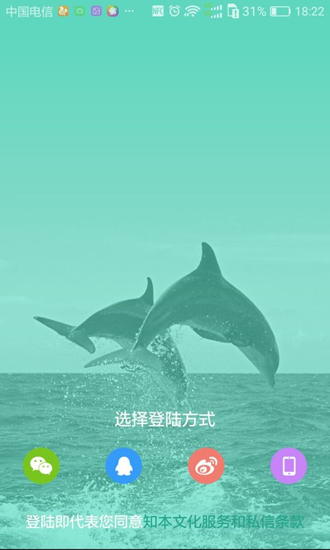 小熊出动