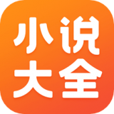 小说大全