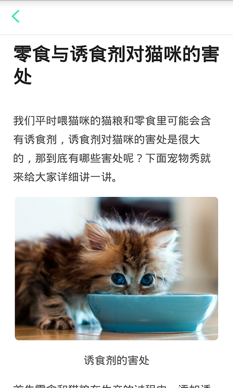 猫咪管家