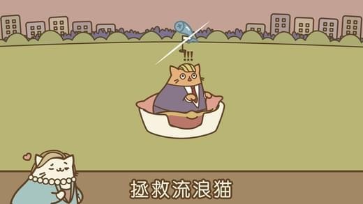 tappycat(音乐猫咪)