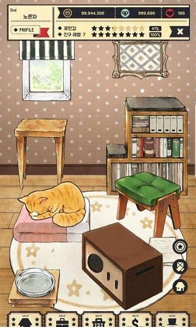 猫天