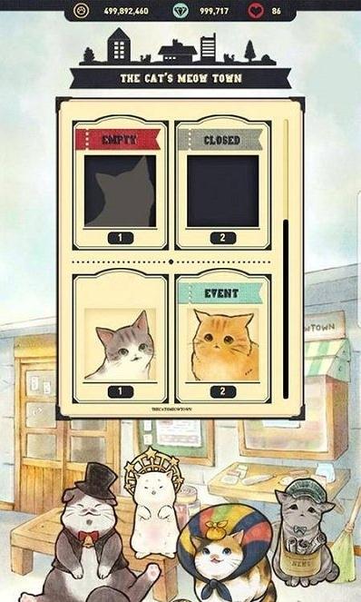 猫天