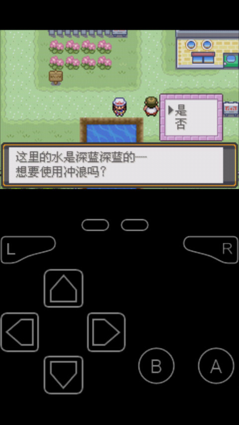 口袋妖怪火红小偷能偷什么