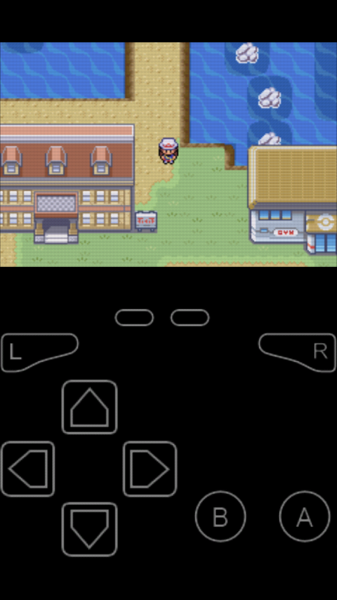 口袋妖怪火红小偷能偷什么