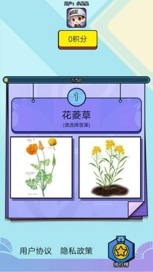 爱上鲜花