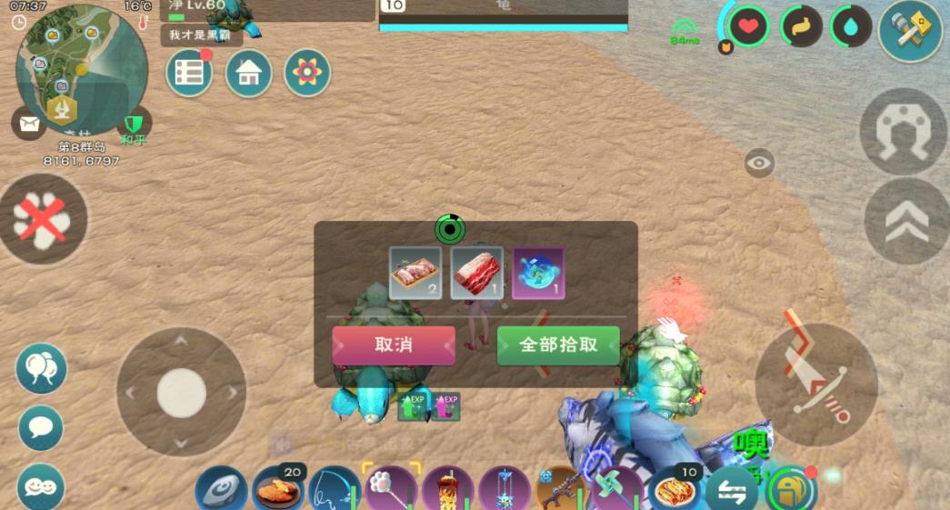 创造与魔法幻龙攻击资质怎么算
