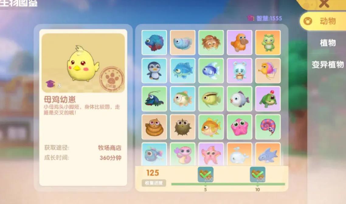摩尔庄园甲鱼南瓜盅怎么获得 摩尔庄园甲鱼南瓜盅怎么获得