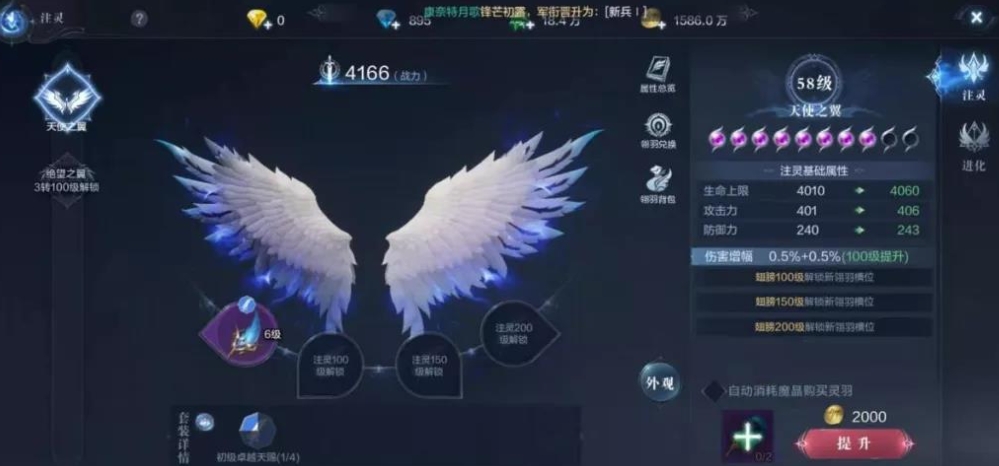 全民奇迹南瓜饼干什么 全民奇迹南瓜饼干什么