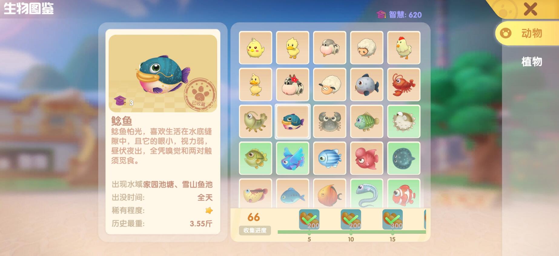 摩尔庄园手游萌新怎么玩