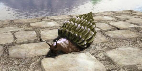 方舟生存进化玛瑙螺有什么用