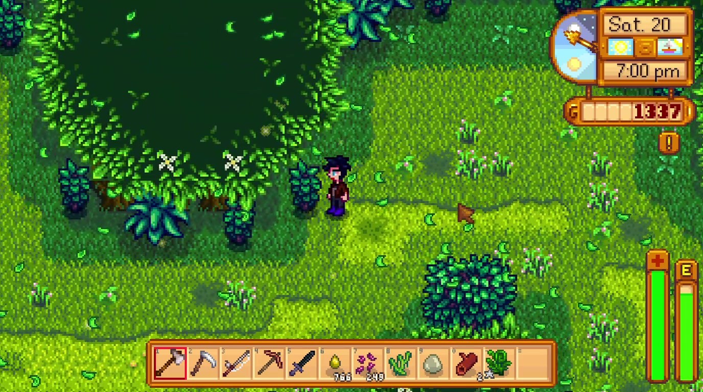 星露谷物语秘密森林有什么用 星露谷物语秘密森林有什么用