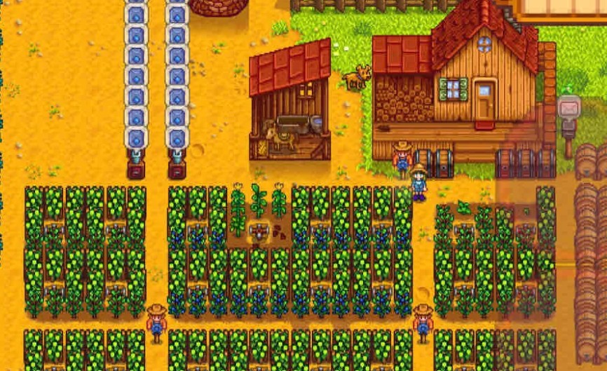 星露谷物语第一年夏季种植该怎么选