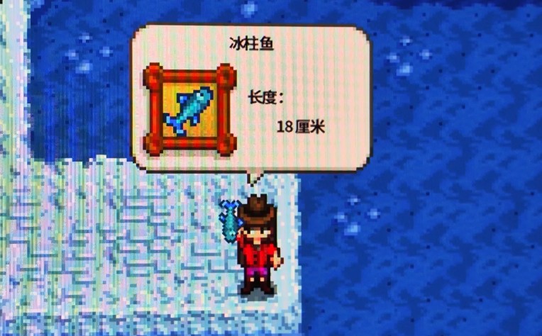 星露谷物语冰柱鱼有哪些特性