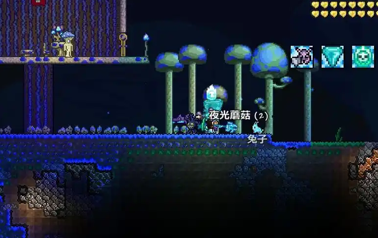 泰拉瑞亚怎么得夜光种子