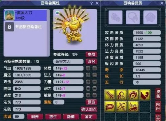 梦幻西游血攻宠加什么